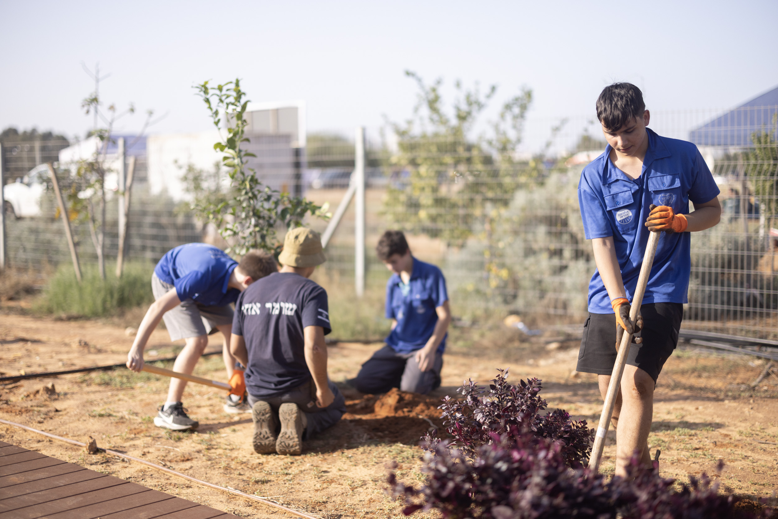 בני נוער מתנועת השומר בפעילות גינון וחקלאות בשטח